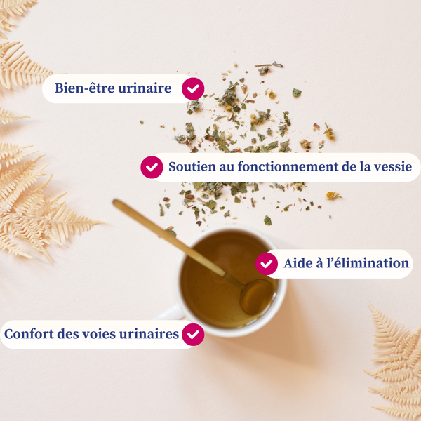 Infusion - Confort Urinaire