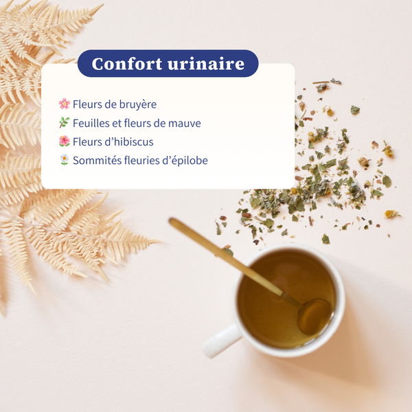 Infusion - Confort Urinaire